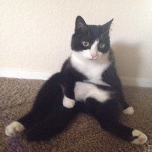 Meet your Posher, Maria